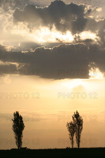 France, Basse Normandie, calvados, pays d'auge, ciel, nuages, meteo, rayons de soleil, arbres, lever de soleil, peupliers,