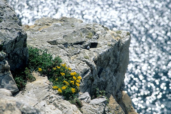 France, Bretagne, Finistere, presqu'ile de crozon, camaret, pointe de pen hir, rocher, effet de lumiere sur l'eau,