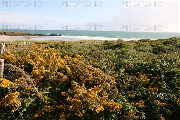 France, cornwall