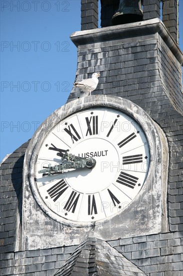 France, Bretagne, Finistere sud, Cornouaille, Concarneau, la ville close, fortification vauban, horloge, sommet du beffroi, goeland, aiguilles, heure,