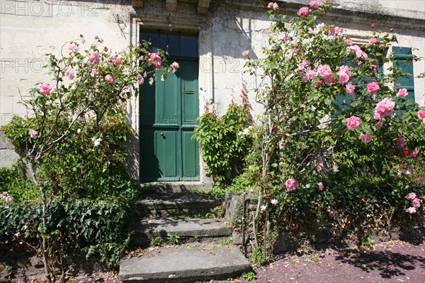 France, Bretagne, Morbihan, malestroit, village, detail d'une facade de maison fleurie, roses,