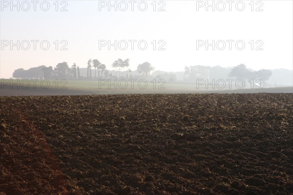 France, Haute Normandie, Seine Maritime, pays de Caux, valliquerville, agriculture, champ laboure,