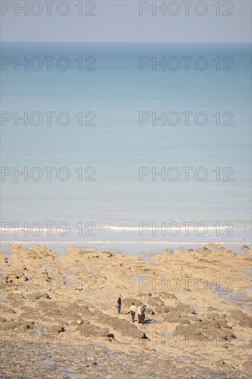 France, somme, entre picardie et Normandie, le bois de cise, vue sur la cote, mer, cote d'albatre,