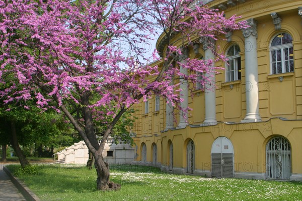 europe, bathhouse szechenyi