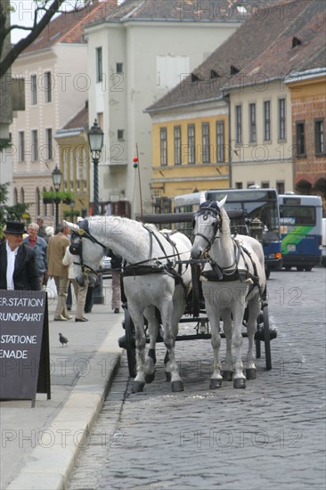 europe, Hongrie, budapest, caleches pres du chateau, Buda, chevaux, promenade touristique,