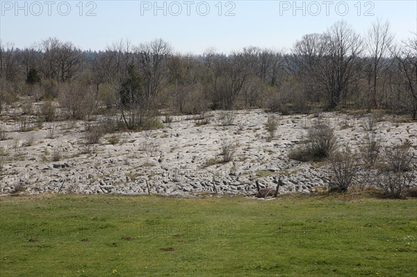 France, franche comte, jura, loulle, les lapiaz de loulle, sol prehistorique, curiosite geologique, jurassique, prehistoire,