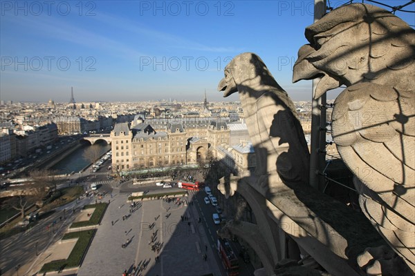 France, ile de france, paris 4e arrondissement, ile de la cite, parvis, notre dame de paris, cathedrale, montee aux tours, panorama, chimeres,