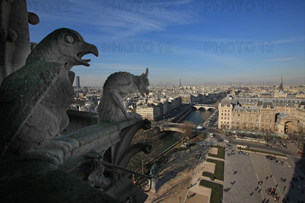 France, ile de france, paris 4e arrondissement, ile de la cite, parvis, notre dame de paris, cathedrale, montee aux tours, panorama, chimeres,