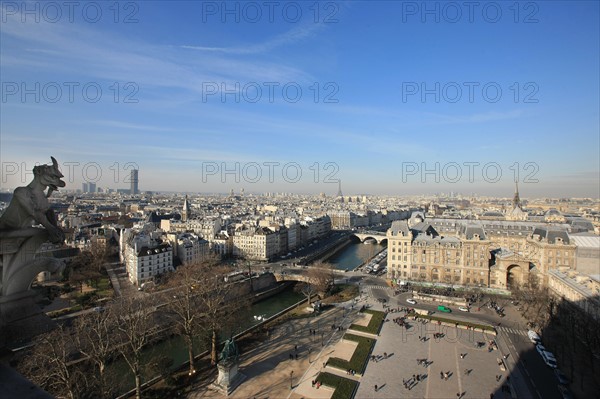 France, ile de france, paris 4e arrondissement, ile de la cite, parvis, notre dame de paris, cathedrale, montee aux tours, panorama,