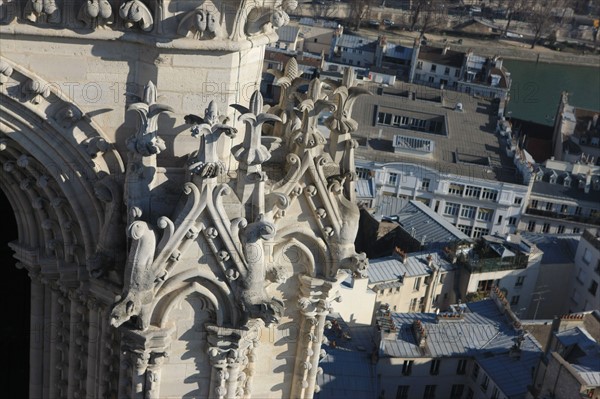 France, ile de france, paris 4e arrondissement, ile de la cite, parvis, notre dame de paris, cathedrale, montee aux tours, panorama,