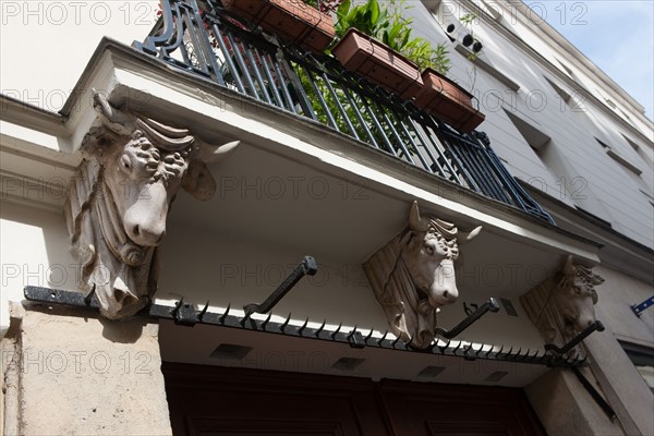 France, Ile de France, Paris 3e arrondissement, Le Marais, 67 rue de Turenne, detail de tete de taureau soutenant le balcon, facade sur rue, immeuble, ancienne boucherie sous le Premier Empire