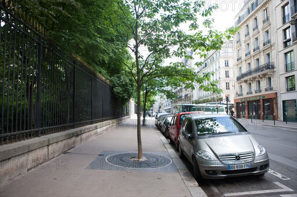 France, Région Ile de France, Paris 6e arrondissement, Jardin du Luxembourg, Rue Guynemer, bordée par les grilles sur une rive,