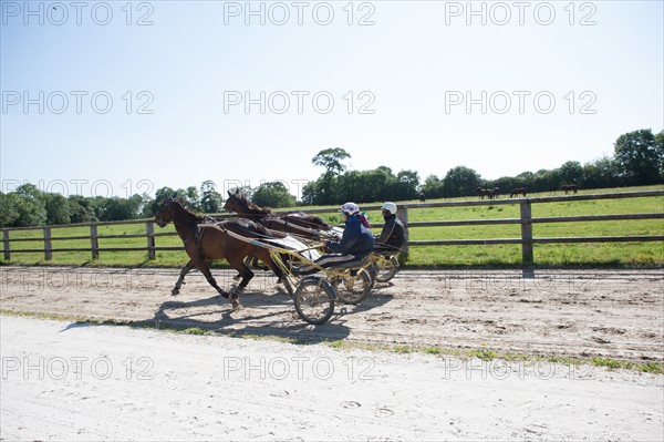 France, Région Basse Normandie, Manche, Haras de Bellevent, écurie Pierre Levesque, entraînement de trotteurs, Camille Levesque, piste,