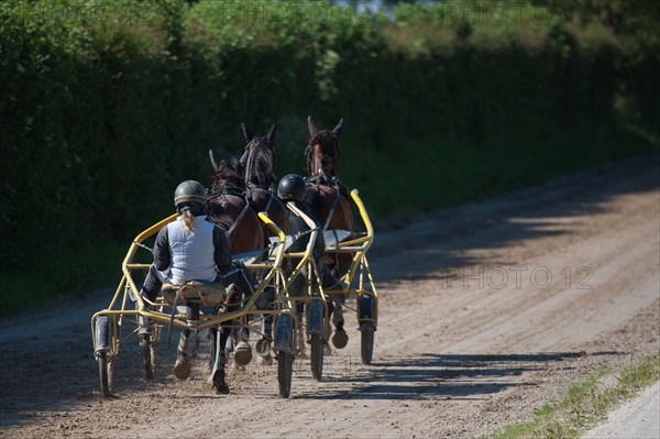 France, Région Basse Normandie, Manche, Haras de Bellevent, écurie Pierre Levesque, entraînement de trotteurs, Camille Levesque, piste,