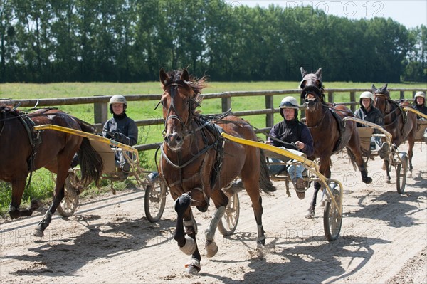 France, Région Basse Normandie, Manche, Haras de Bellevent, écurie Pierre Levesque, entraînement de trotteurs, Camille Levesque, piste,