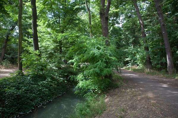 Bois De Boulogne, Bosquet