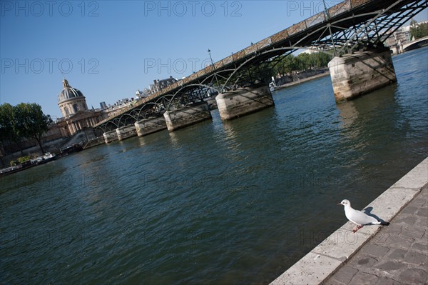 Quai Francois Mitterrand (Quai Des Tuileries) Berges de Seine, Pont Des Arts Et Institut de France, Quai De Conti En Face