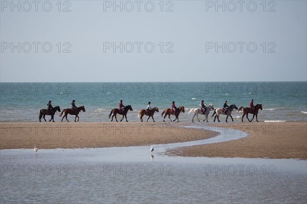 Villers-sur-Mer, chevaux et poneys sur la plage