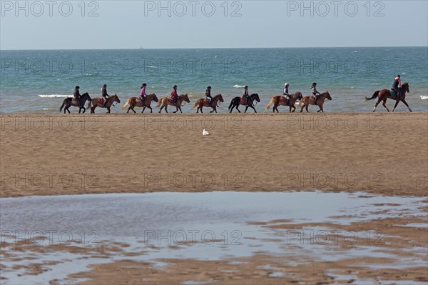 Villers-sur-Mer, chevaux et poneys sur la plage