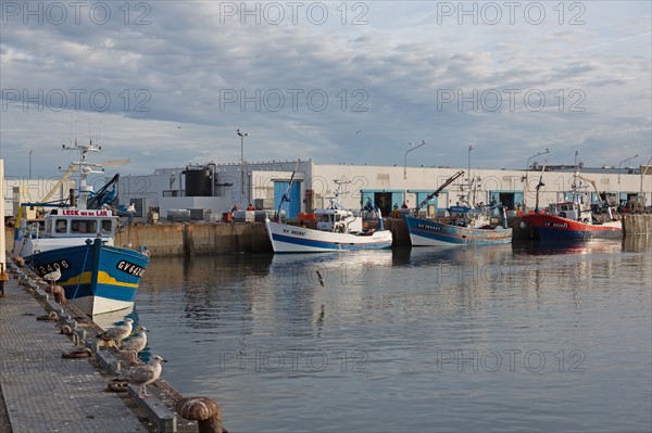 Port de Saint-Guénolé, Finistère Sud