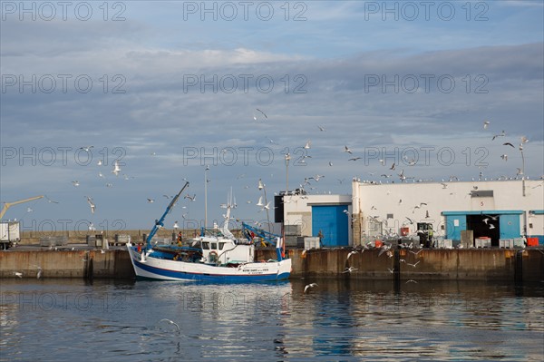 Port de Saint-Guénolé, Finistère Sud