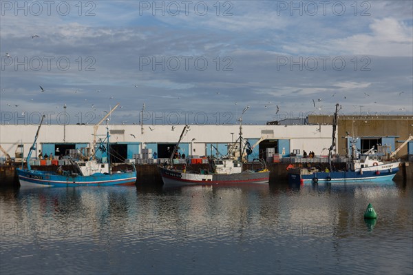 Port de Saint-Guénolé, Finistère Sud