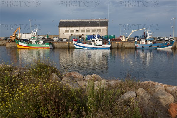 Port de Saint-Guénolé, Finistère Sud