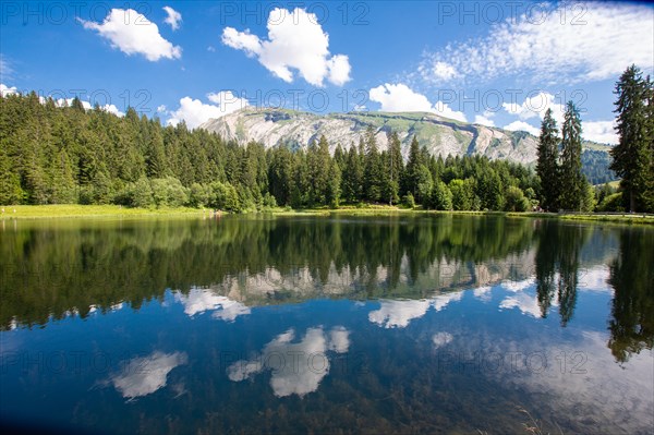 Morzine, Haute-Savoie, site du lac des Mines d'Or, le rouleau de Bostan