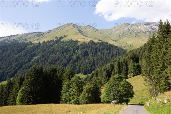 Morzine, Haute-Savoie, along the Dranse river in Morzine from the Lac des Mines d'Or