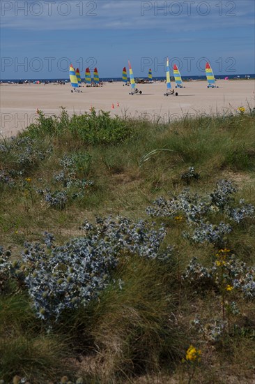 Ouistreham Riva-Bella (Seine-Maritime)