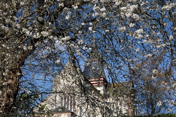 Beaumont-en-Auge, Calvados