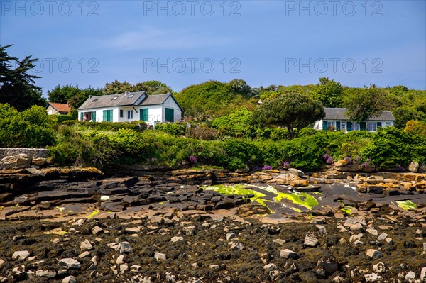 Iles Chausey, Manche