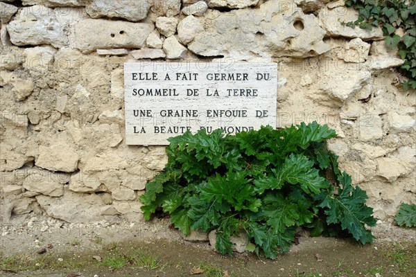 Gaulle roman excavation villa of Seviac