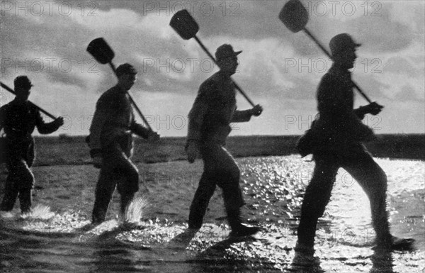Adolf Hitler. Arbeitsdienst bei Landgewinnungsarbeit. Le service du travail se mobilise pour gagner de la terre sur l'eau.