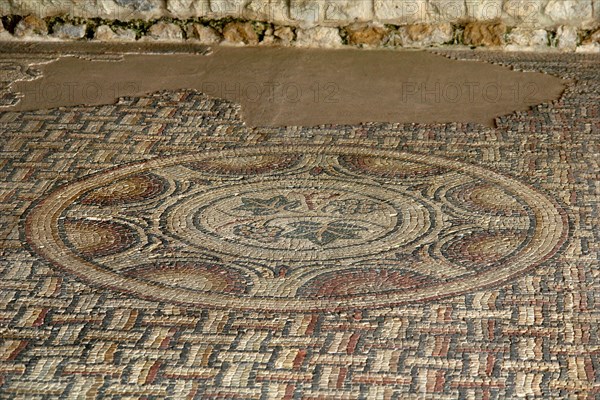 Roman- gaulle excavation villa of Seviac