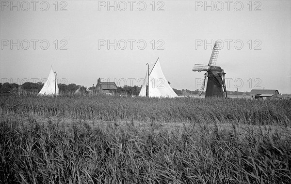 Two yachts under sail seen over the reed beds near East Tunstall Mill, Norfolk, 1934