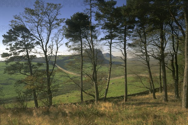 Hadrian's Wall, Northumberland, 1994