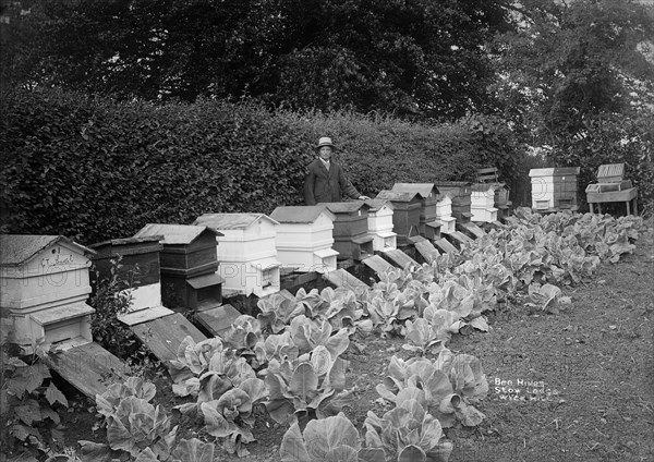 The garden of Stow Lodge, Wyck Hill, Wick Rissington, Gloucestershire, 1908