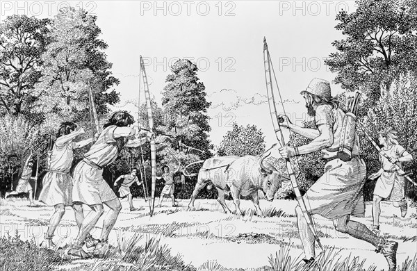 Prehistoric hunting of aurochs. Artist: Derek Lucas