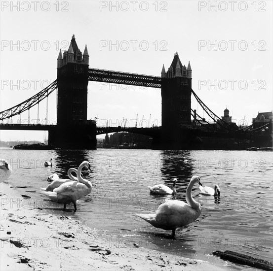 Tower Bridge, London, 1952. Artist: Henry Grant