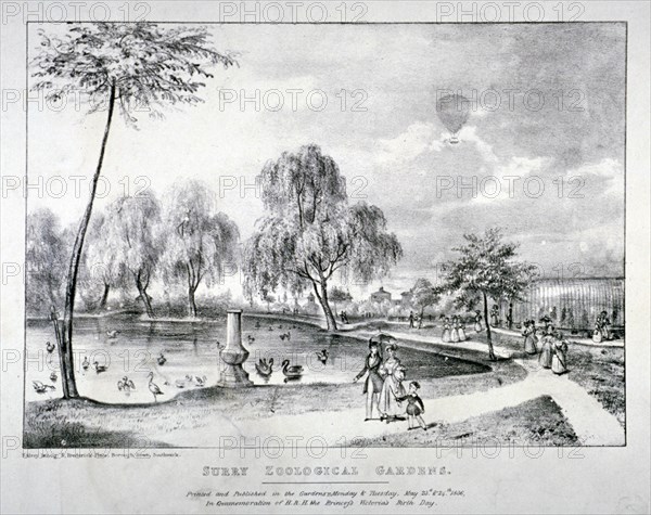 Surrey Zoological Gardens, Southwark, London, 1836. Artist: F Alvey
