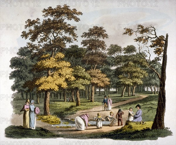 View of the 'dipping' well in Hyde Park, Westminster, London, c1810. Artist: William Pickett