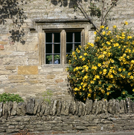 Stone mullioned cottage window, Lower Slaughter, Cotswolds, Gloucestershire