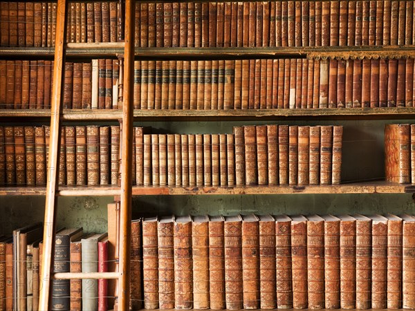 The library, Brodsworth Hall, South Yorkshire