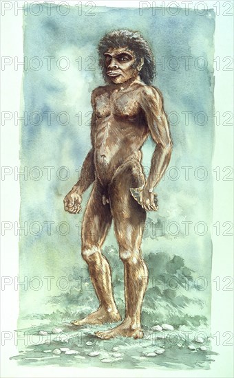 Boxgrove Man, Prehistoric, (1990-2010)