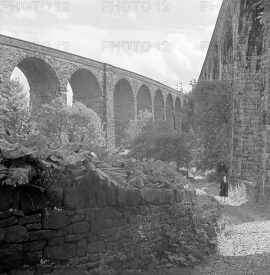 Railway Viaducts, Chapel Milton, Chapel-en-le-Frith, Derbyshire, 1954 ...