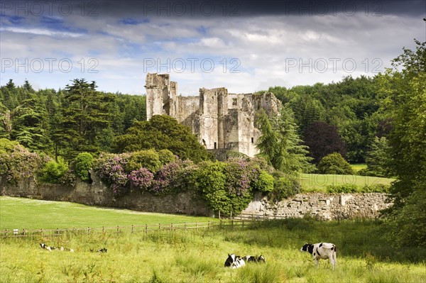 Old Wardour Castle, Wiltshire, 2009