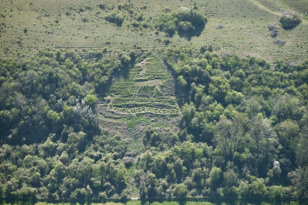 Chalk military badge of the Royal Warwickshire Regiment, near Sutton Down, Wiltshire, 2015. Creator: Historic England Staff Photographer.