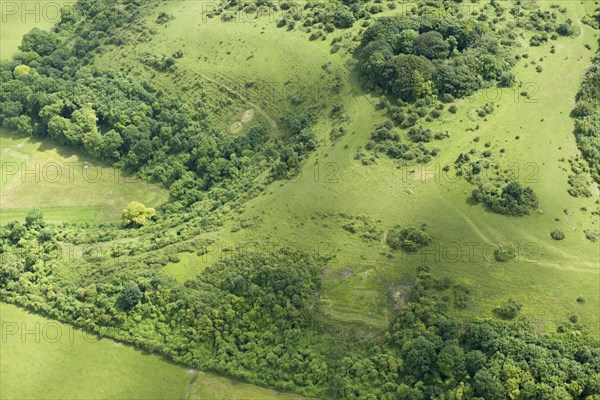 Chalk military badges near Sutton Down, Wiltshire, 2016. Creator: Historic England Staff Photographer.