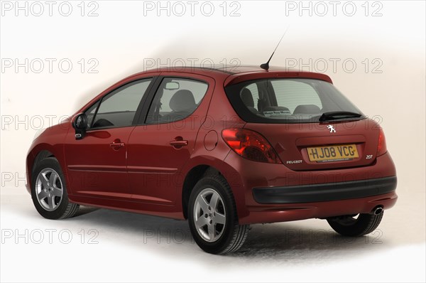 2008 Peugeot 207 Artist: Unknown.